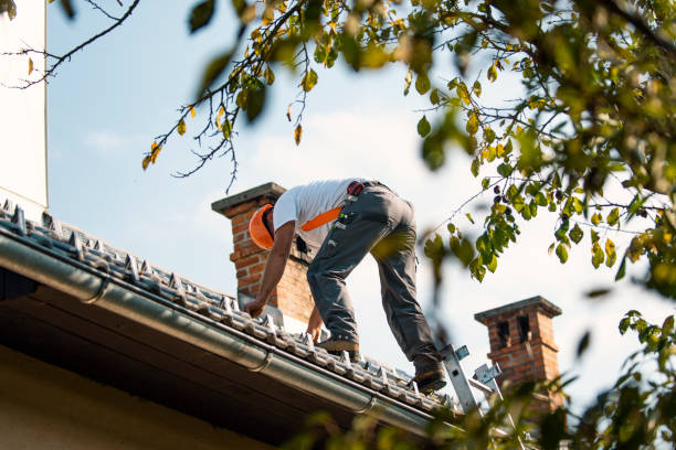 Roof Waterproofing Services in Hudson, MI