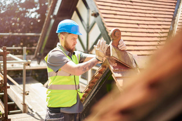 Best Local Roofing Companies  in Hudson, MI