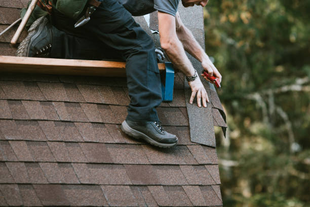 Best Residential Roofing Contractor  in Hudson, MI
