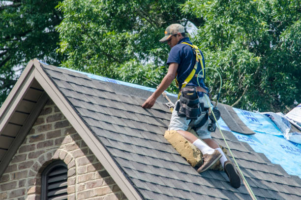 Best Roof Repair Services  in Hudson, MI